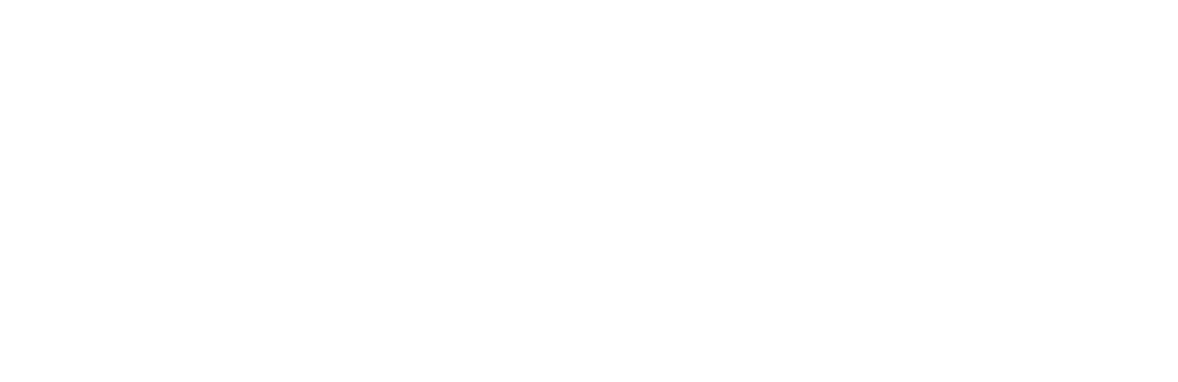 Master Capacita